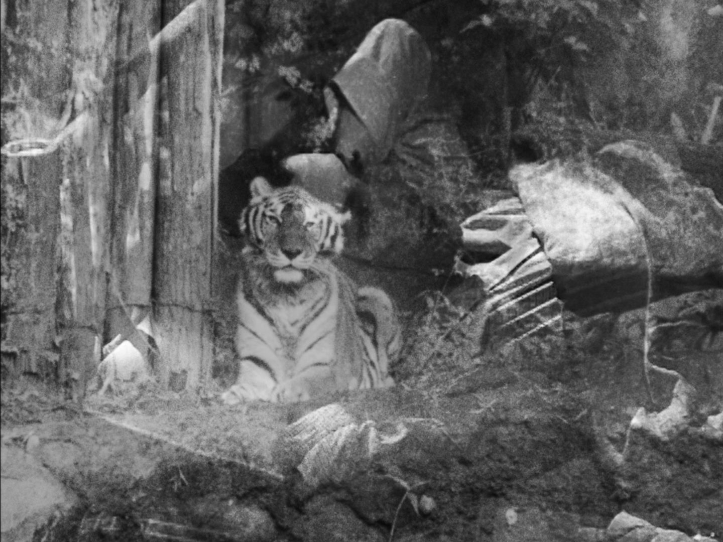 Images Festival on e-flux Video & Film!